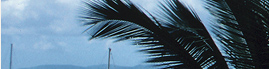 www.traveljungle.co.uk